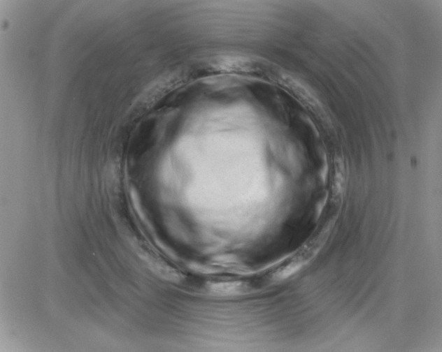 X0000081340461200701251903