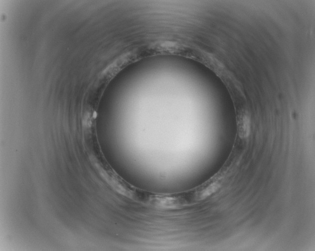 X0000081340472200701251903