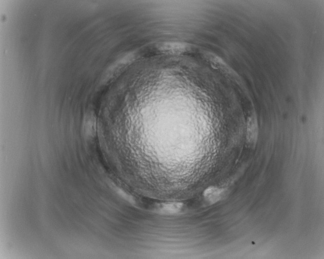 X0000081340474200701251903