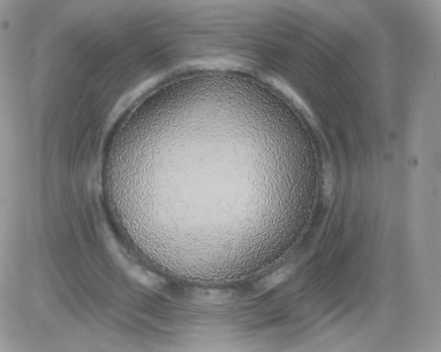 X0000081340486200701251903