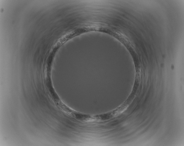 X0000081340504200701251902