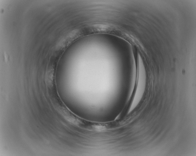 X0000081340509200701251902