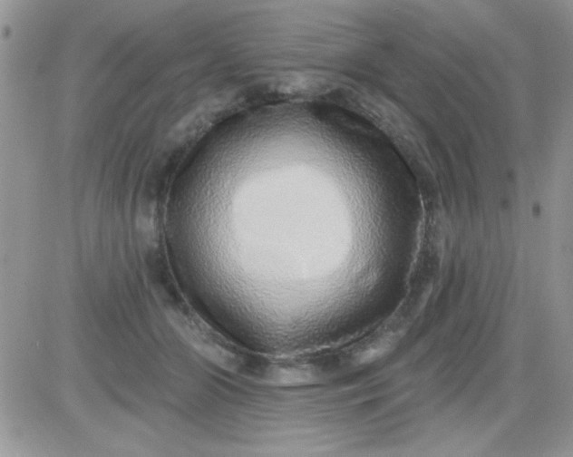 X0000081340510200701251902