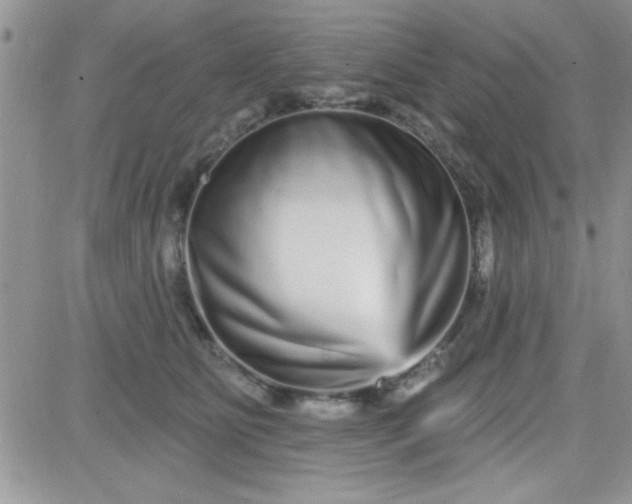 X0000081340515200701251902