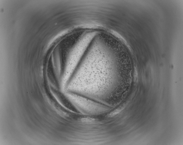 X0000081340535200701251901