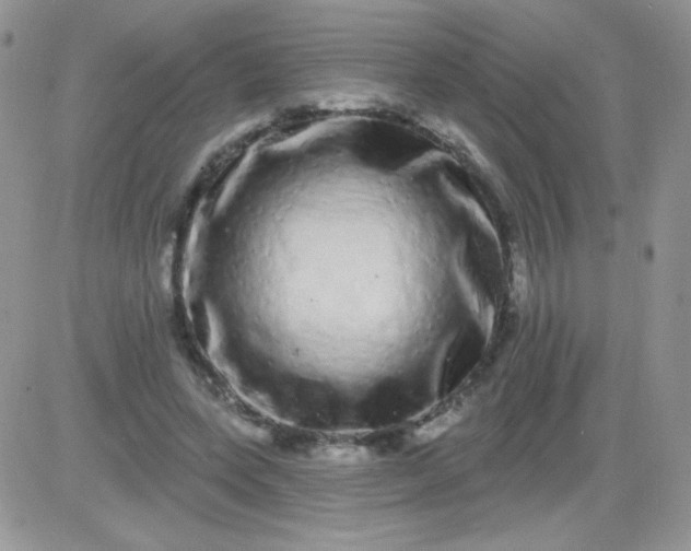 X0000081340543200701251901