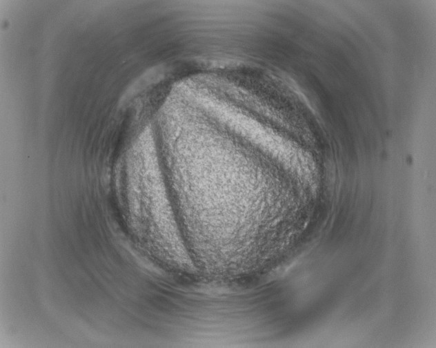 X0000081340545200701251901
