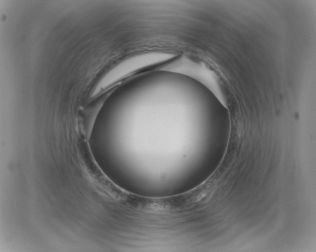 X0000081340546200701251901