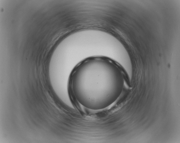 X0000081340548200701251901
