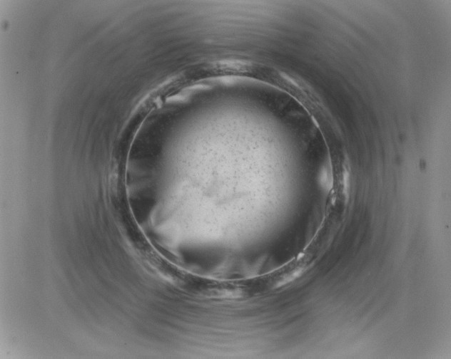 X0000081340552200701251901