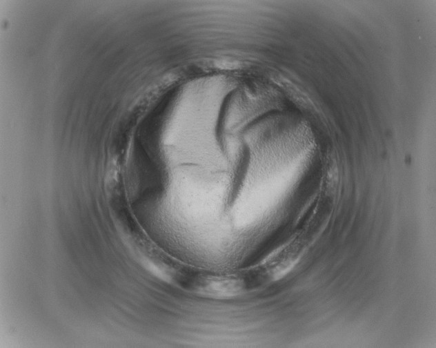 X0000081340555200701251901