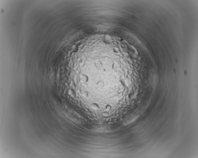 X0000081340557200701251901