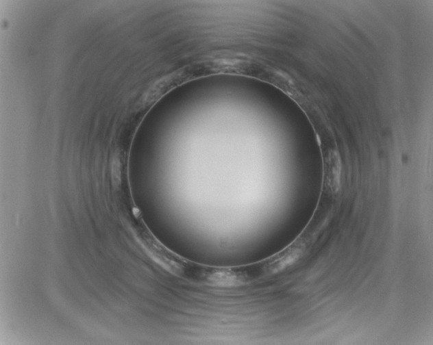 X0000081340562200701251902