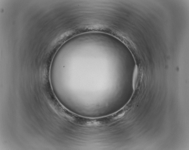 X0000081340591200701251901