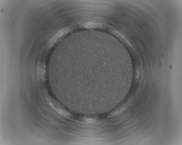 X0000081340592200701251901