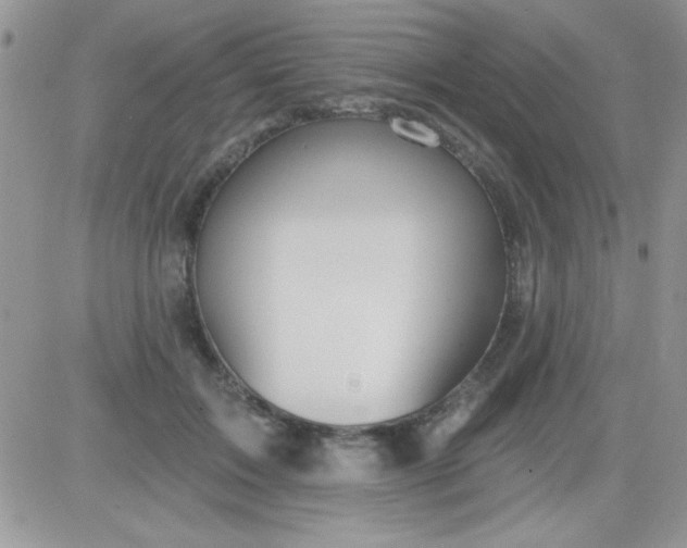 X0000081340603200701251901