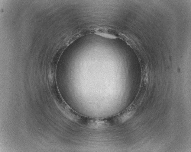 X0000081340607200701251900