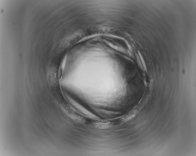 X0000081340615200701251900