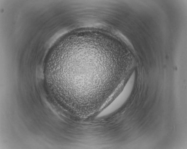 X0000081340628200701251859