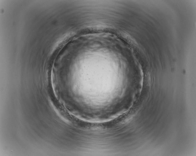 X0000081340638200701251900