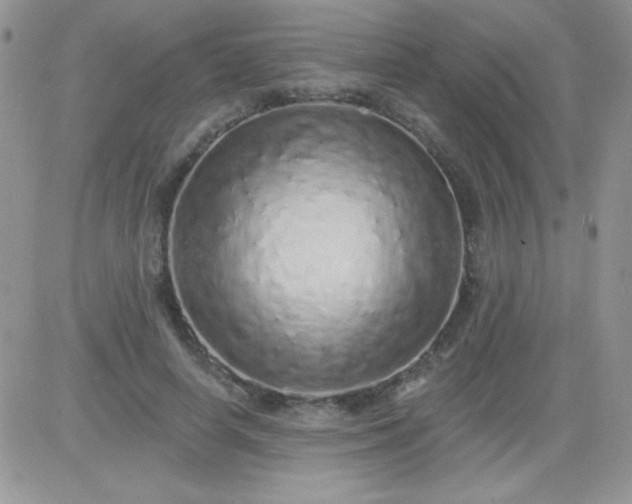 X0000081340642200701251900