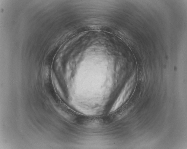 X0000081340646200701251900