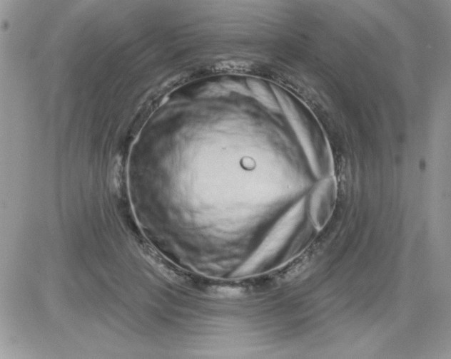 X0000081340649200701251900