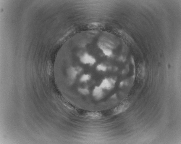 X0000081340659200701251900