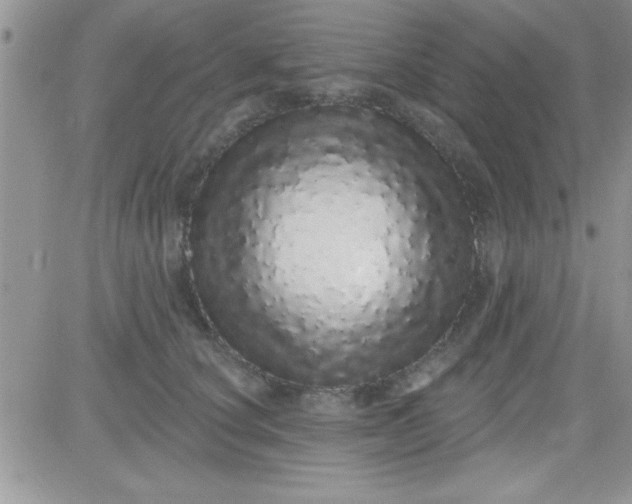 X0000081340660200701251900