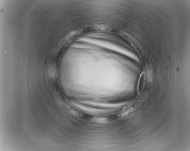 X0000081340665200701251900