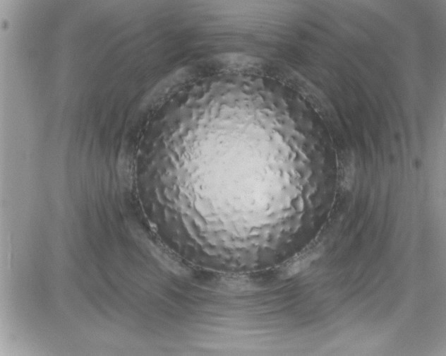 X0000081340666200701251900