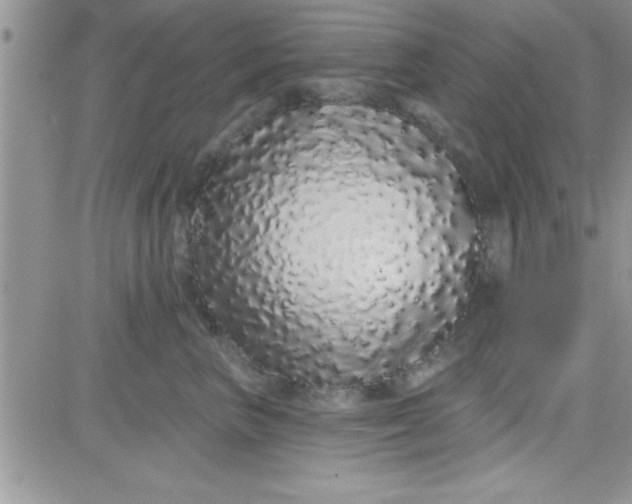 X0000081340667200701251900