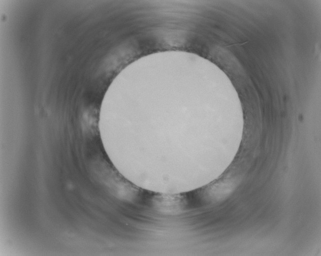 X0000081340672200701251900