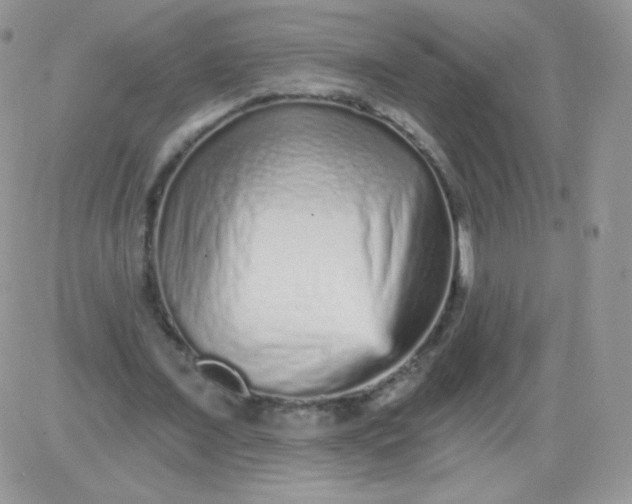 X0000081340675200701251859