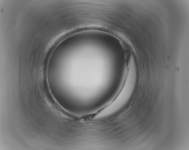 X0000081340676200701251859