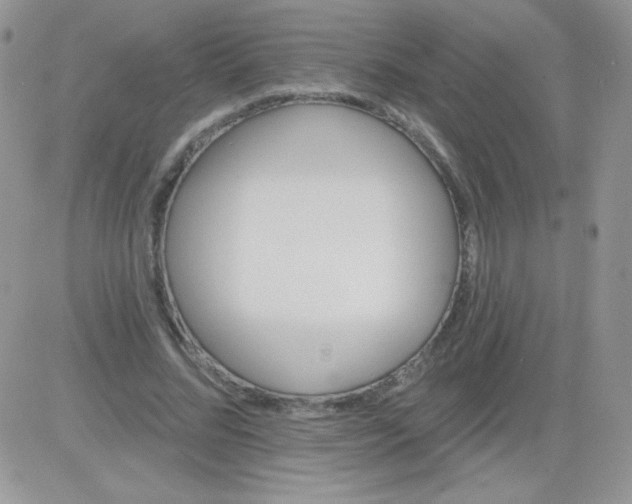 X0000081340684200701251859