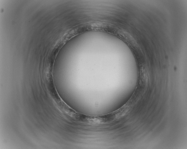X0000081340698200701251859