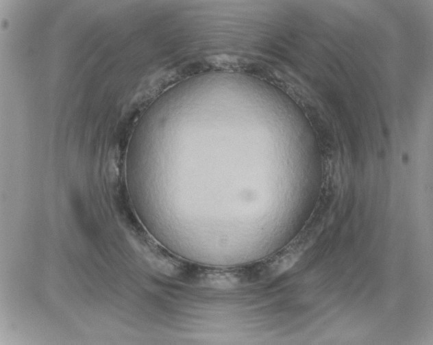 X0000081340702200701251859