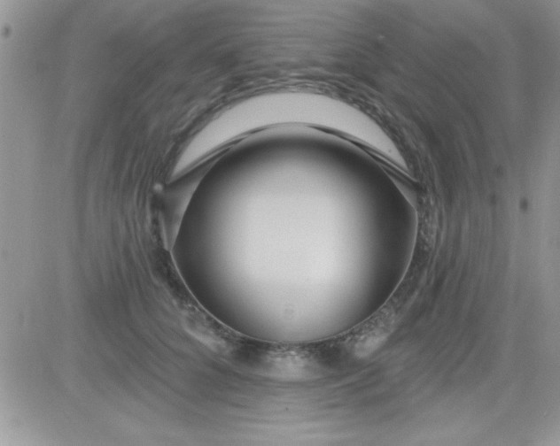 X0000081340704200701251859