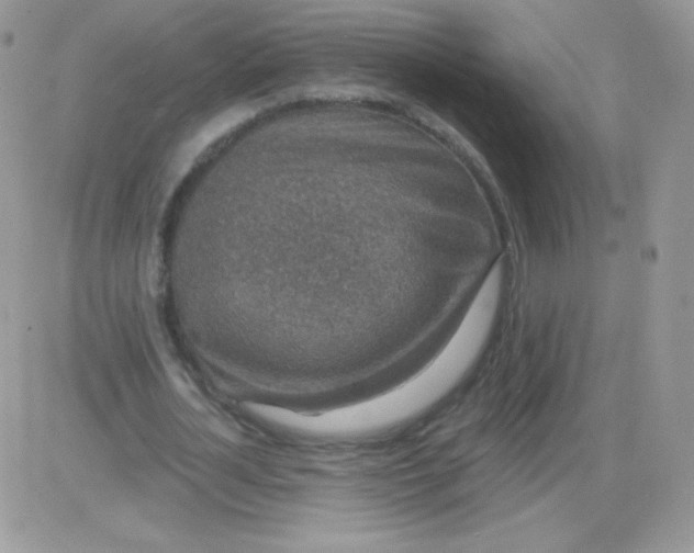 X0000081340724200701251858