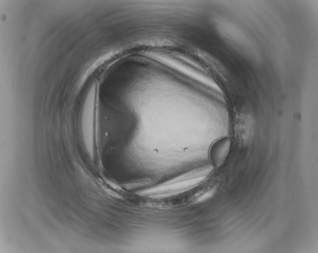 X0000081340727200701251858