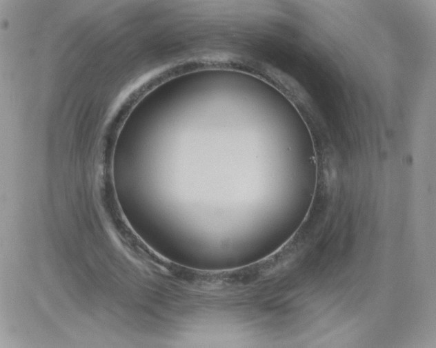X0000081340728200701251858