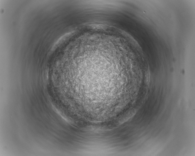 X0000081340733200701251858