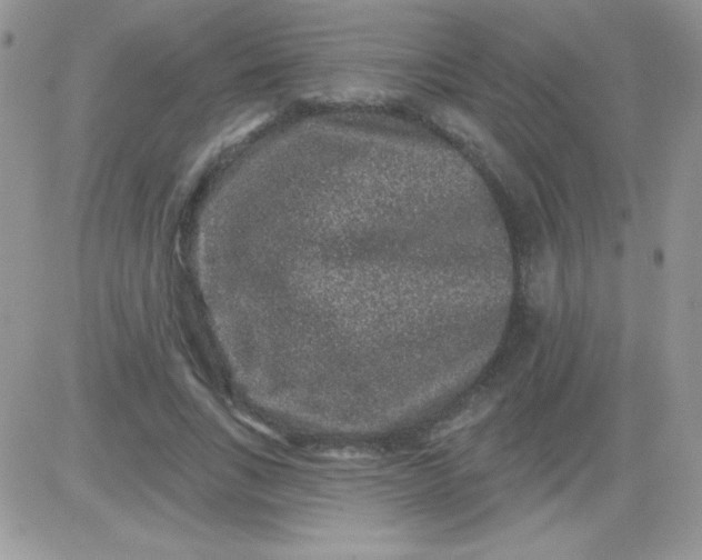 X0000081340735200701251858