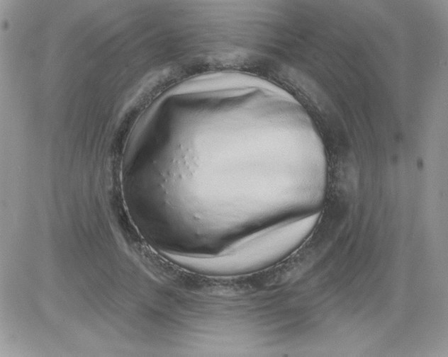 X0000081340738200701251858