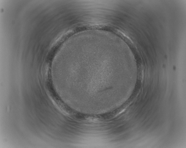 X0000081340742200701251858
