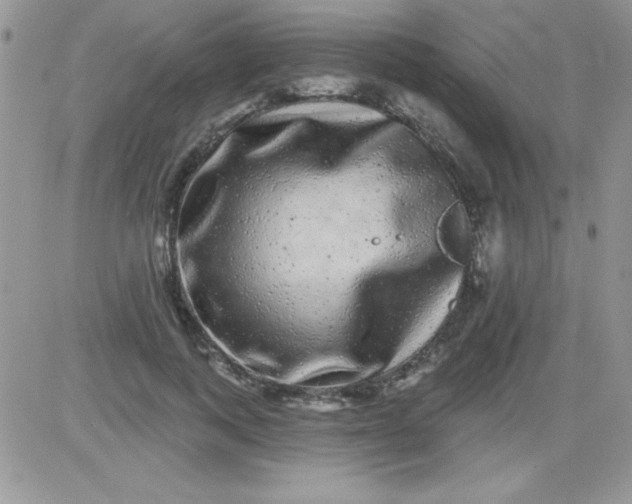 X0000081340743200701251858