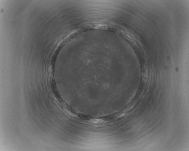 X0000081340748200701251858
