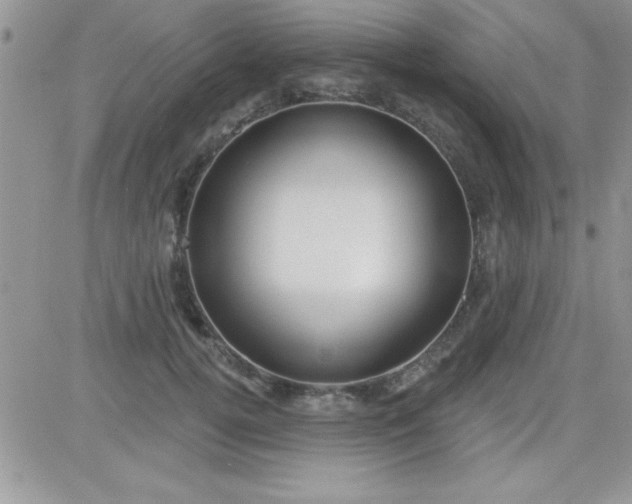 X0000081340752200701251858