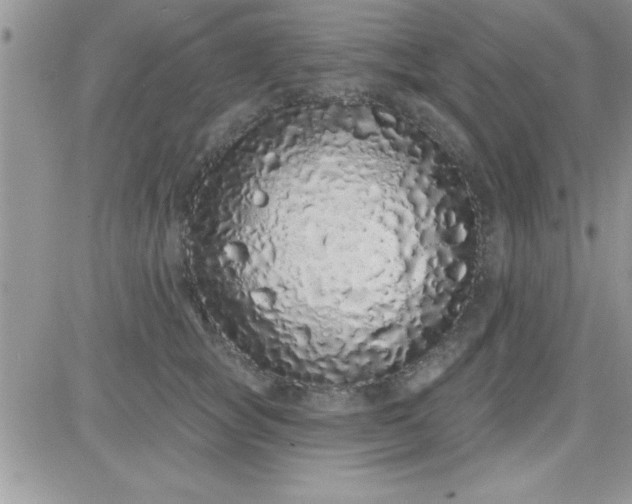X0000081340757200701251858